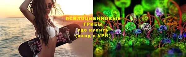 спиды Богданович