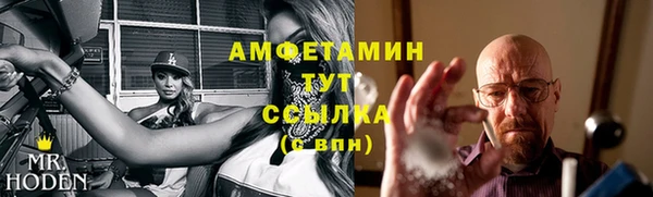 спиды Богданович