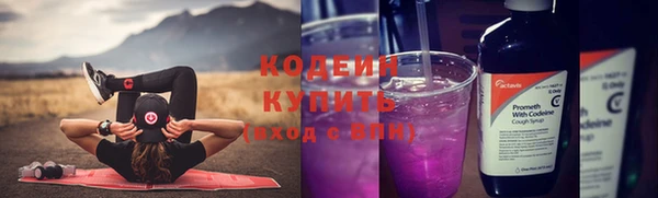 спиды Богданович