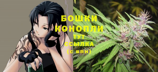 спиды Богданович