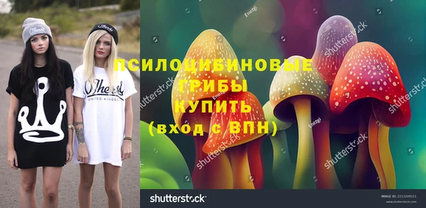 MESCALINE Аркадак